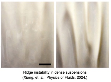 Ridge instability in dense suspensions